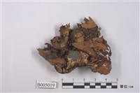 藏品(地卷屬)的圖片